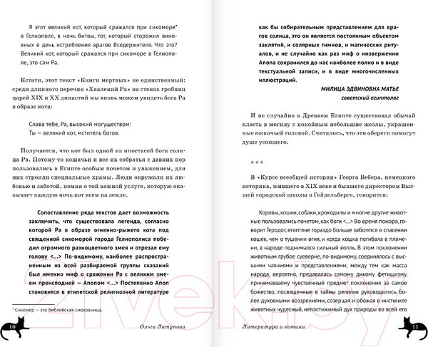 Изображение товара Книга АСТ Литература и котики (Латунова О.В.)