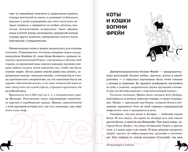 Изображение товара Книга АСТ Литература и котики (Латунова О.В.)