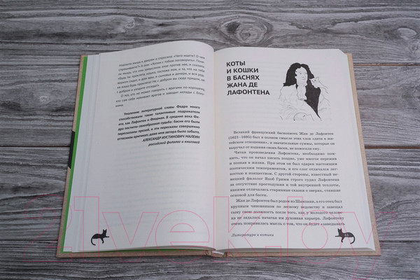 Изображение товара Книга АСТ Литература и котики (Латунова О.В.)