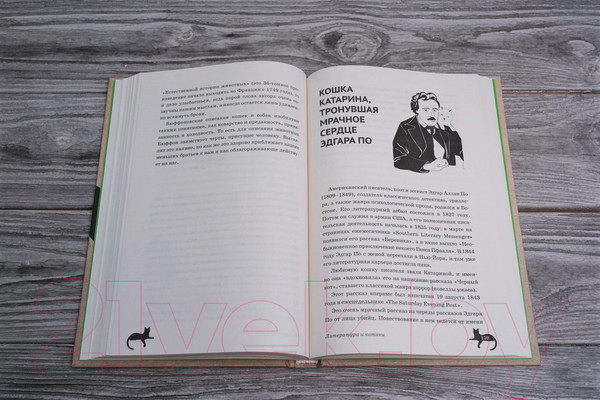 Изображение товара Книга АСТ Литература и котики (Латунова О.В.)