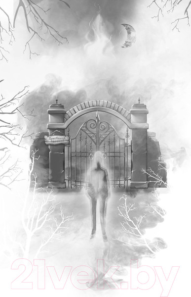 Изображение товара Книга Эксмо Поткин и Штуббс. Тайна мальчика-привидения (Грин С.)