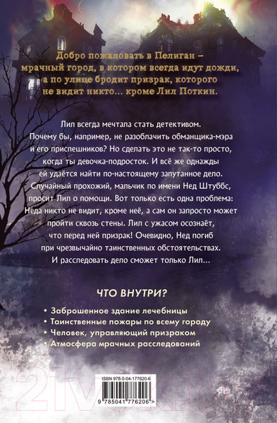 Изображение товара Книга Эксмо Поткин и Штуббс. Тайна мальчика-привидения (Грин С.)
