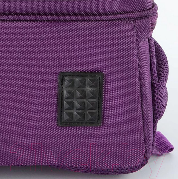 Изображение товара Школьный рюкзак Ecotope Kids Птичка / 057-540-140-CLR