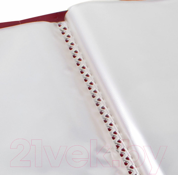 Изображение товара Папка для бумаг Brauberg Office / 271332 (красный)