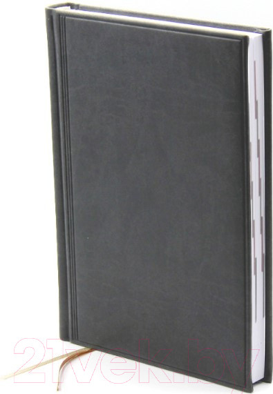 Изображение товара Ежедневник Brunnen Агенда Торино / 796 38-802 (серый)