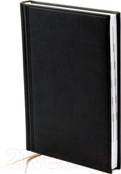 Изображение товара Ежедневник Brunnen Агенда Торино / 796 38-902 (черный)