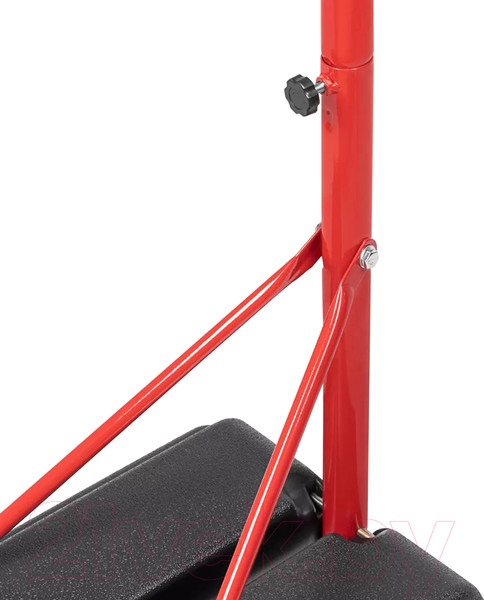 Изображение товара Баскетбольный стенд Alpin Junior BSJ-30