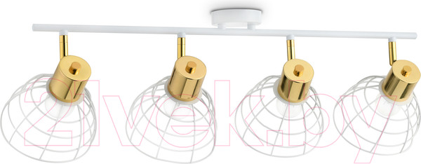 Изображение товара Спот Ambrella Traditional / TR8603