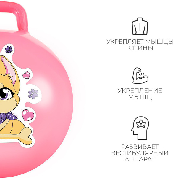 Изображение товара Фитбол с ручкой Zabiaka Корги / 7350275 (розовый)