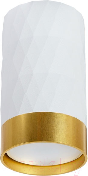 Изображение товара Точечный светильник Arte Lamp Fang A5558PL-1WH