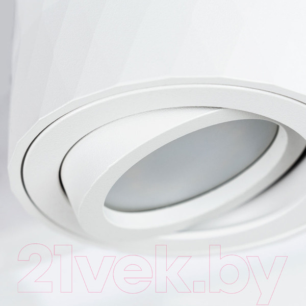 Изображение товара Точечный светильник Arte Lamp Fang A5559PL-1WH