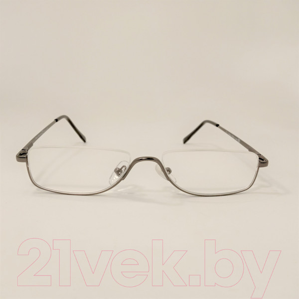 Изображение товара Готовые очки WDL Read p309 +2.50 (серебряный)