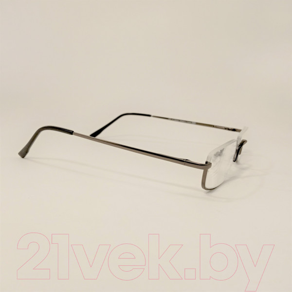 Изображение товара Готовые очки WDL Read p309 +2.50 (серебряный)