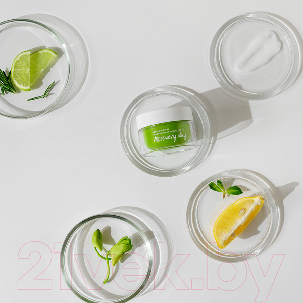 Изображение товара Крем для лица PREMIUM Homework Recovery day Увлажнение и защита SPF10 (50мл)