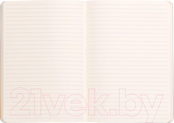 Изображение товара Записная книжка Rhodia Rhodiarama / 117451C (80л, серебряный)