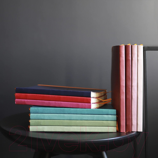 Изображение товара Записная книжка Rhodia Rhodiarama / 117451C (80л, серебряный)