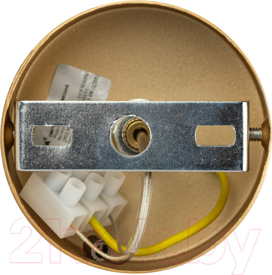 Изображение товара Потолочный светильник ЭРА PL21 GD GX53 / Б0058506