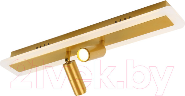 Изображение товара Потолочный светильник Arte Lamp Tommy A2607PL-22GO