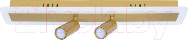 Изображение товара Потолочный светильник Arte Lamp Tommy A2607PL-22GO