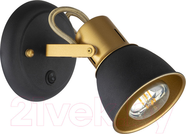 Изображение товара Спот Arte Lamp Jovi A1677AP-1GO