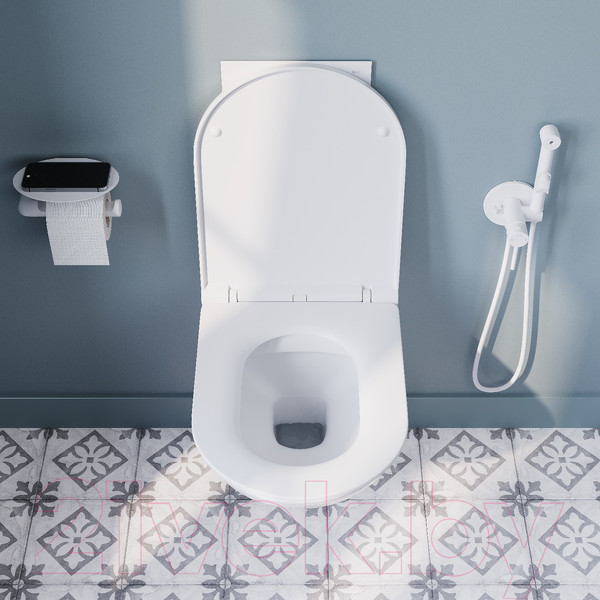 Изображение товара Унитаз подвесной IDDIS Zodiac ZDCRDSEi25