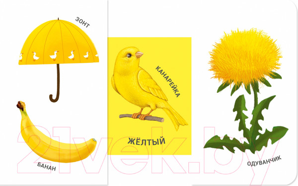 Изображение товара Развивающая книга Робинс Книжки - задвижки. Какой это цвет?