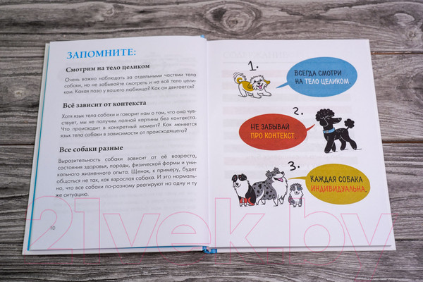 Изображение товара Книга АСТ Собака. Иллюстрированное руководство по общению (Чин Л.)