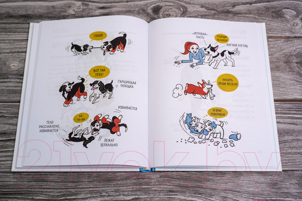 Изображение товара Книга АСТ Собака. Иллюстрированное руководство по общению (Чин Л.)