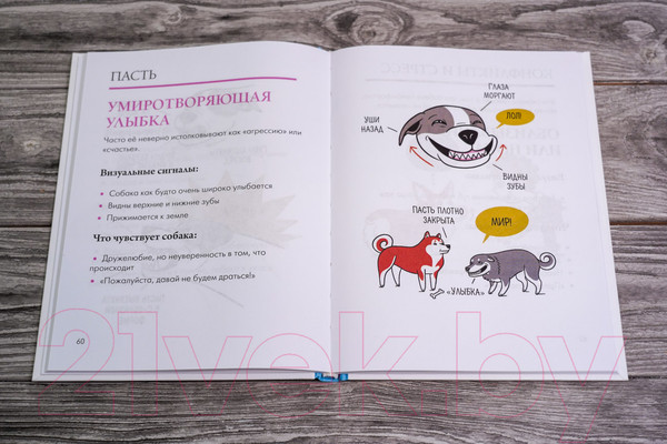 Изображение товара Книга АСТ Собака. Иллюстрированное руководство по общению (Чин Л.)