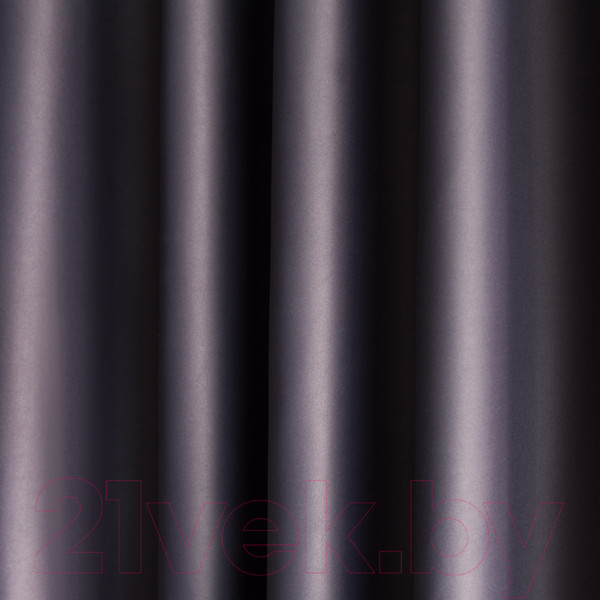 Изображение товара Комплект штор Pasionaria Блэквуд 280x260 (черный)