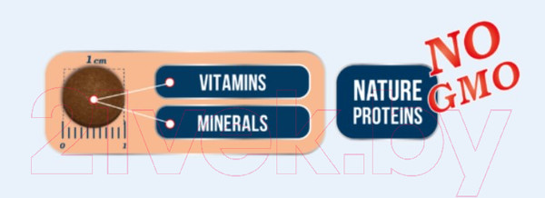 Изображение товара Сухой корм для собак Ragu Для миниатюрных и мелких пород говядина с гарниром (3.5кг)