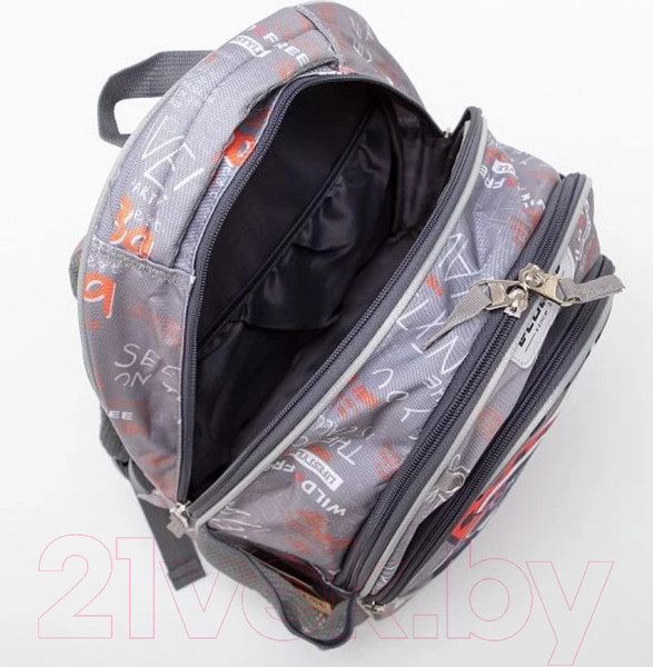 Изображение товара Детский рюкзак Ecotope +пенал / 380-2020-GCL (серый)