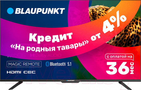 Изображение товара Телевизор Blaupunkt 55UW5000T