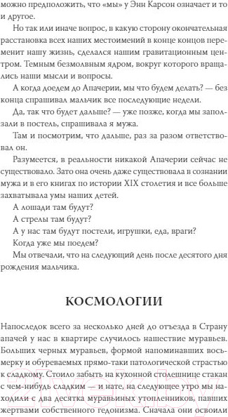 Изображение товара Книга МИФ Архив потерянных детей (Луиселли В.)