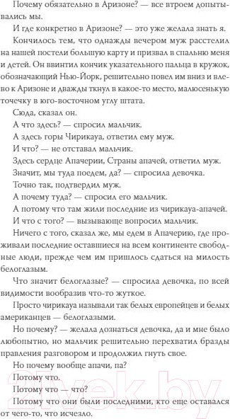 Изображение товара Книга МИФ Архив потерянных детей (Луиселли В.)