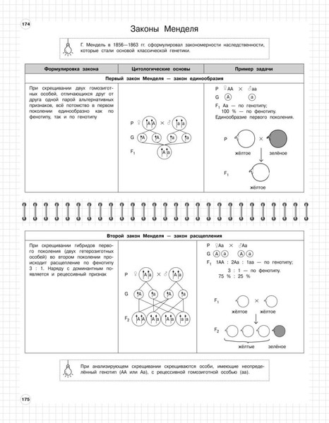 Изображение товара Учебное пособие Эксмо Биология: 5-11 классы, мягкая обложка (Мазур Оксана, Никитинская Татьяна)