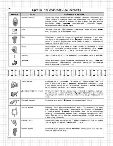Изображение товара Учебное пособие Эксмо Биология: 5-11 классы, мягкая обложка (Мазур Оксана, Никитинская Татьяна)