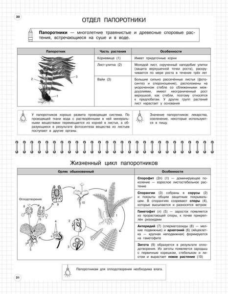 Изображение товара Учебное пособие Эксмо Биология: 5-11 классы, мягкая обложка (Мазур Оксана, Никитинская Татьяна)