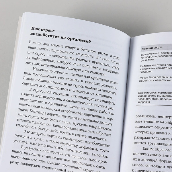 Изображение товара Книга Альпина Икигай. Японские секреты долгой и счастливой жизни (Гарсия Кирай Гектор, мягкая обложка)