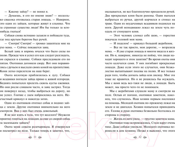 Изображение товара Художественная книга Эксмо Черный красавчик (Сьюэлл А.)