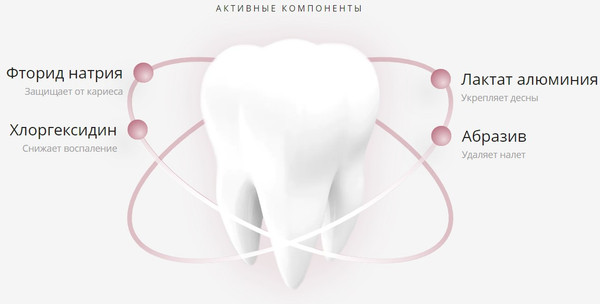 Изображение товара Зубная паста Lacalut Basic Gum (65г)