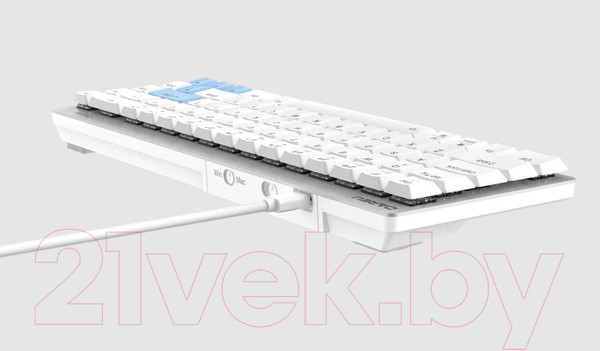 Изображение товара Клавиатура Dareu EK868 (белый/синий, Brown Switch)