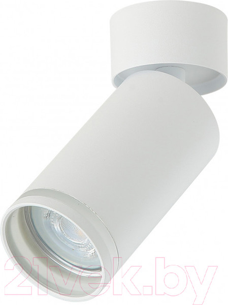 Изображение товара Спот Imex IL.0005.2001 (белый)