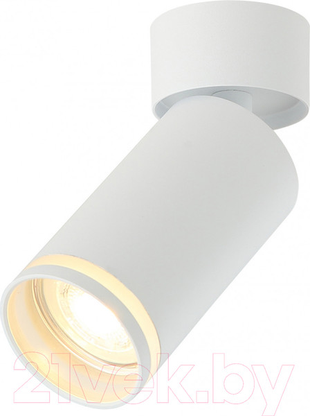 Изображение товара Спот Imex IL.0005.2001 (белый)