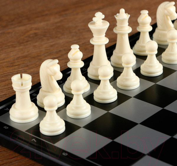 Изображение товара Шахматы Sima-Land Магнитные 551982