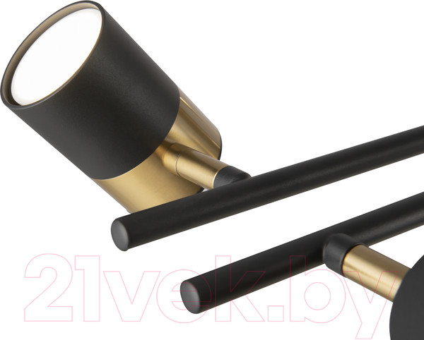 Изображение товара Люстра Freya Enzo FR5201PL-10B