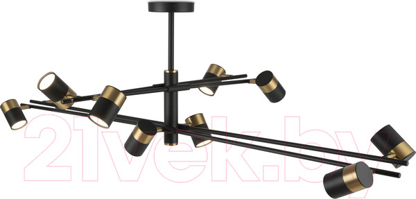 Изображение товара Люстра Freya Enzo FR5201PL-10B