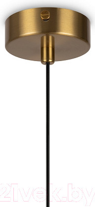 Изображение товара Потолочный светильник Freya Savia FR5203PL-01BS