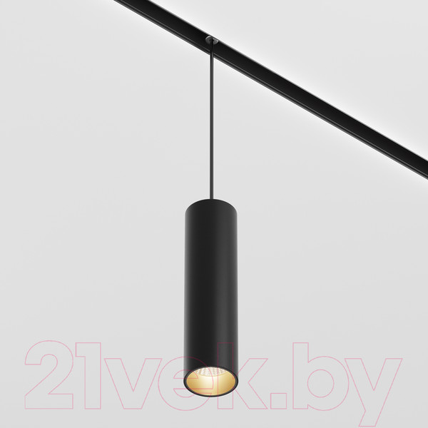 Изображение товара Трековый светильник Maytoni Focus LED TR041-2-12W3K-B