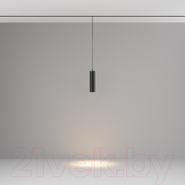 Изображение товара Трековый светильник Maytoni Focus LED TR041-2-12W3K-B